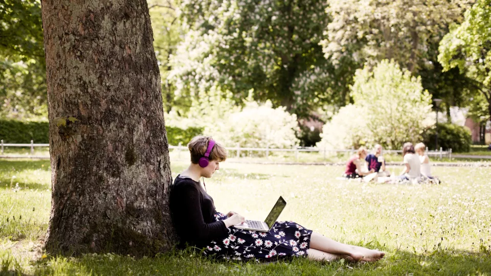 Student pluggar i park
