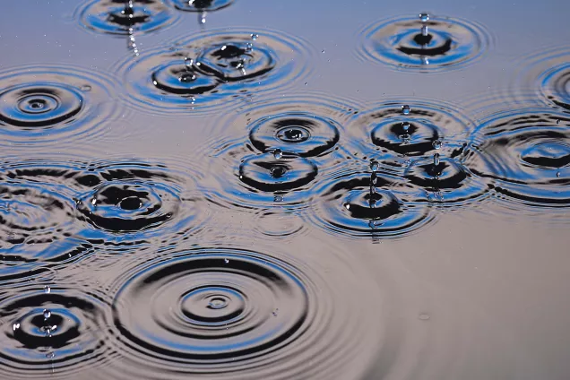raindrops in water making circles