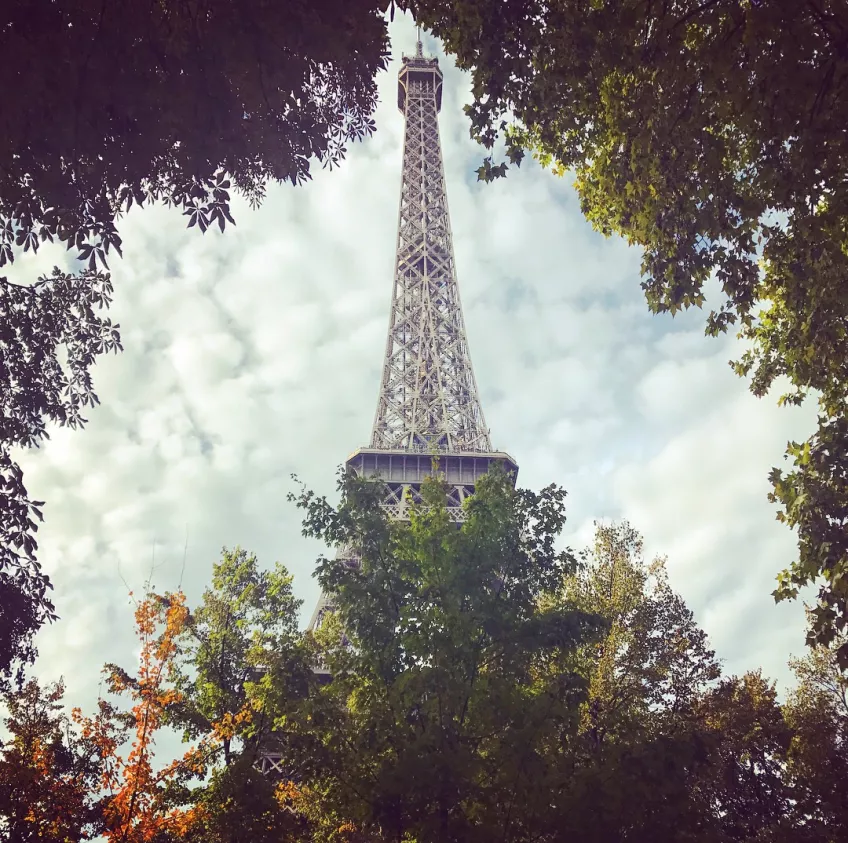 Eiffeltornet i Paris med höstlöv i förgrunden. Foto.