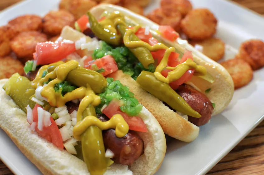 A picture of two Chicago style hot dogs on a plastic plate. Photograph from Wikimedia. Used under Creative Commons License